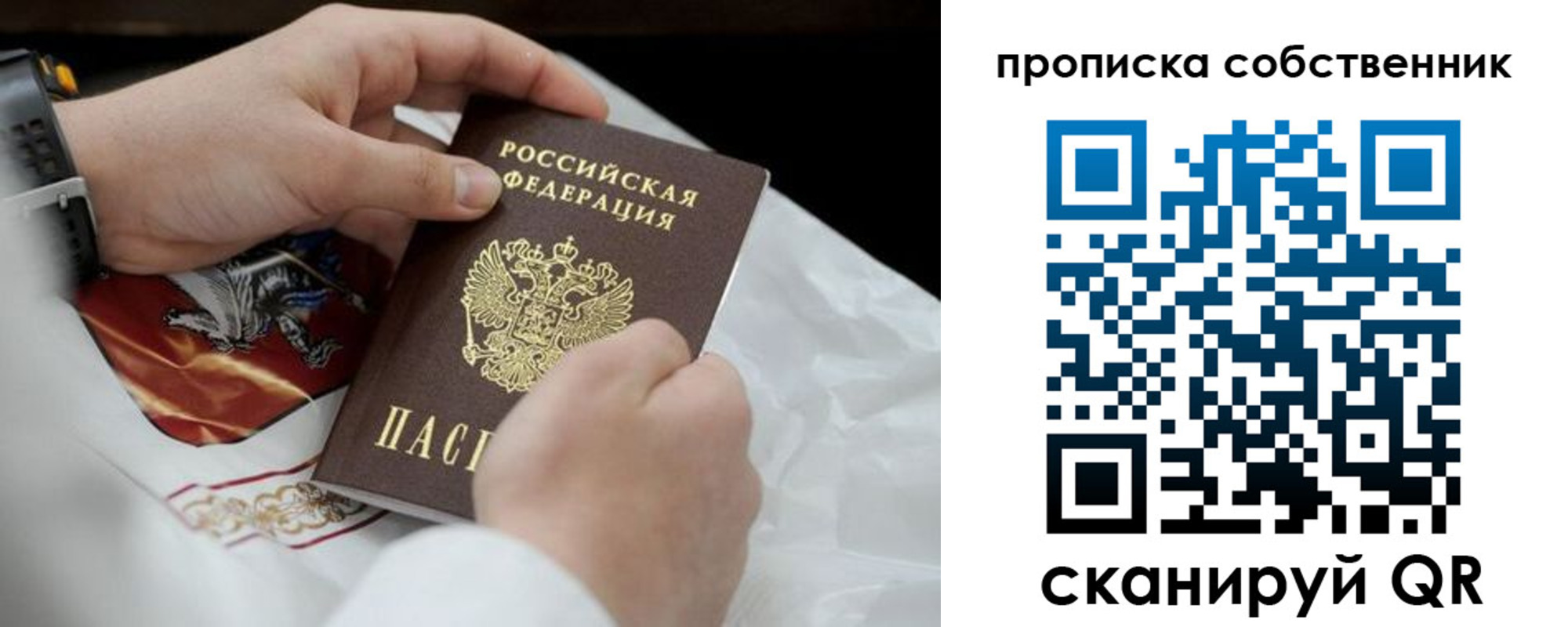 прописка 2025 в Елизово